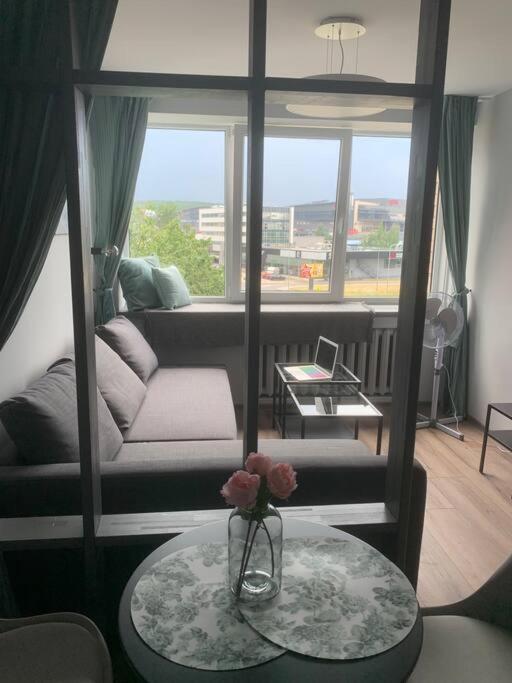 Apartment Near Ozas Vilnius Exterior photo
